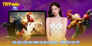 Các Cửa Cược Khi Tham Gia Đá Gà Online - Phân Tích Chi Tiết