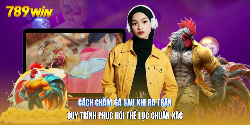 Cách Chăm Gà Sau Khi Ra Trận | Quy Trình Phục Hồi Thể Lực Chuẩn Xác