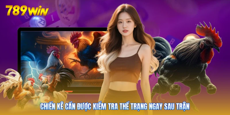 Chiến kê cần được kiểm tra thể trạng ngay sau trận