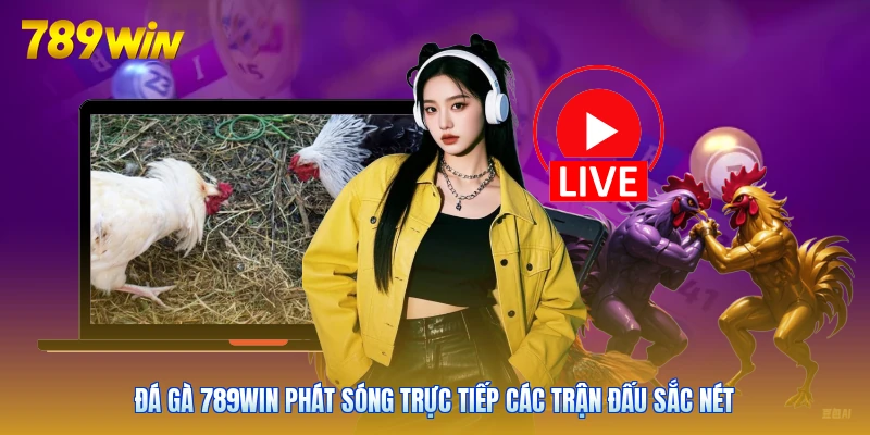 Đá gà 789win phát sóng trực tiếp các trận đấu sắc nét