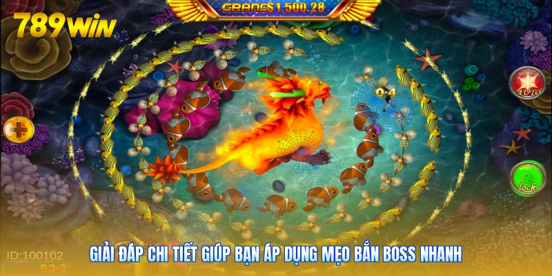 Giải đáp chi tiết giúp bạn áp dụng mẹo bắn boss nhanh