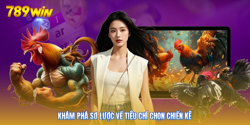 Khám phá sơ lược về tiêu chí chọn chiến kê