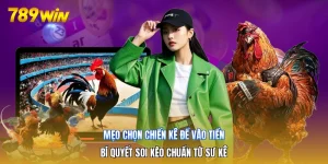 Mẹo Chọn Chiến Kê Để Vào Tiền | Bí Quyết Soi Kèo Chuẩn Từ Sư Kê