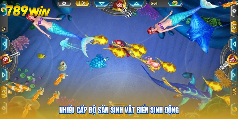Nhiều cấp độ săn sinh vật biển sinh động