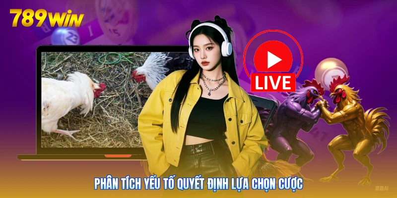 Phân tích yếu tố quyết định lựa chọn cược