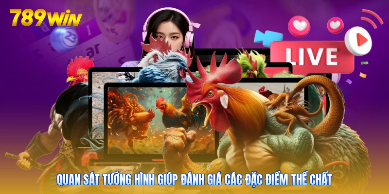 Quan sát tướng hình giúp đánh giá các đặc điểm thể chất