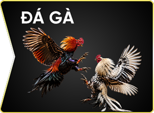 Sảnh đá gà 789win