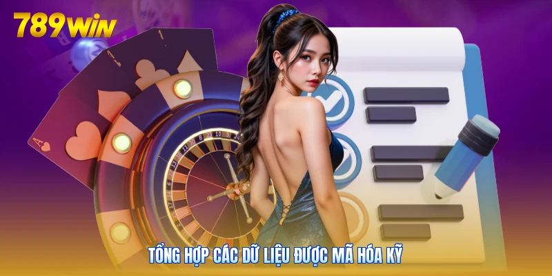 Tổng hợp các dữ liệu được mã hóa kỹ